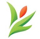 Merridy Casson Naturopath logo